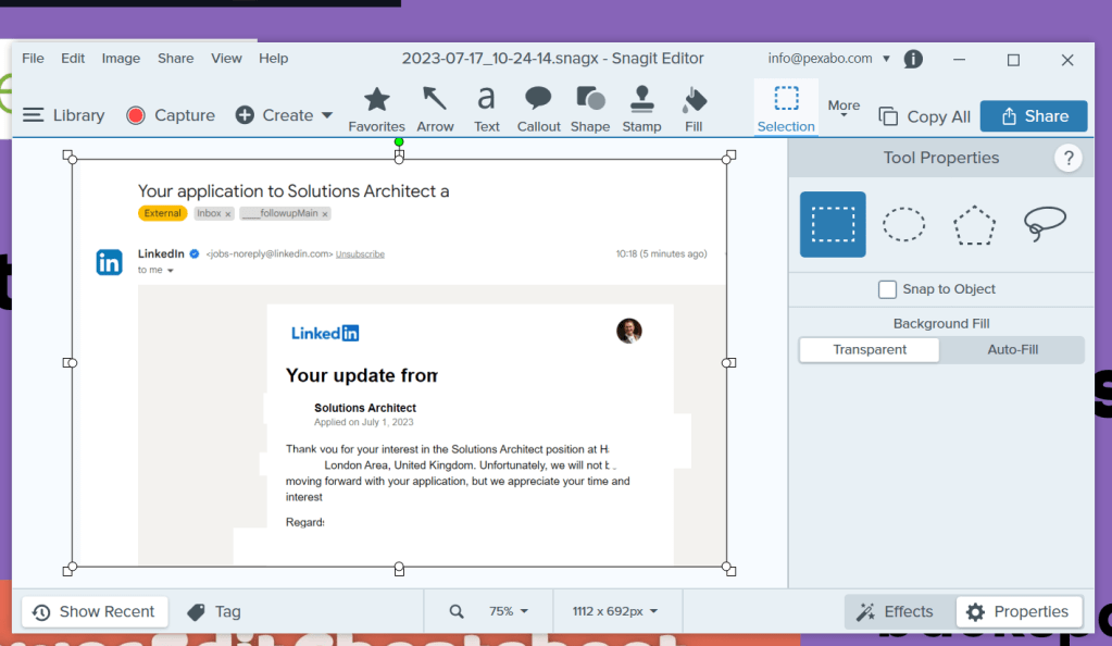 using snagit editor 1