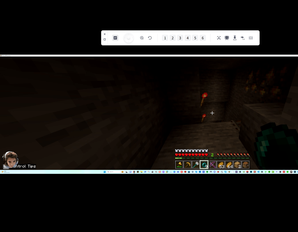 minecraft capture errors 1