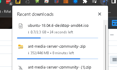 ant server for 12