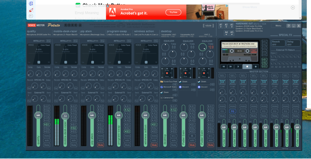 multi channel record 13