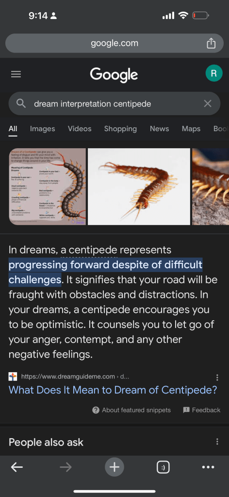 dream symbols 26