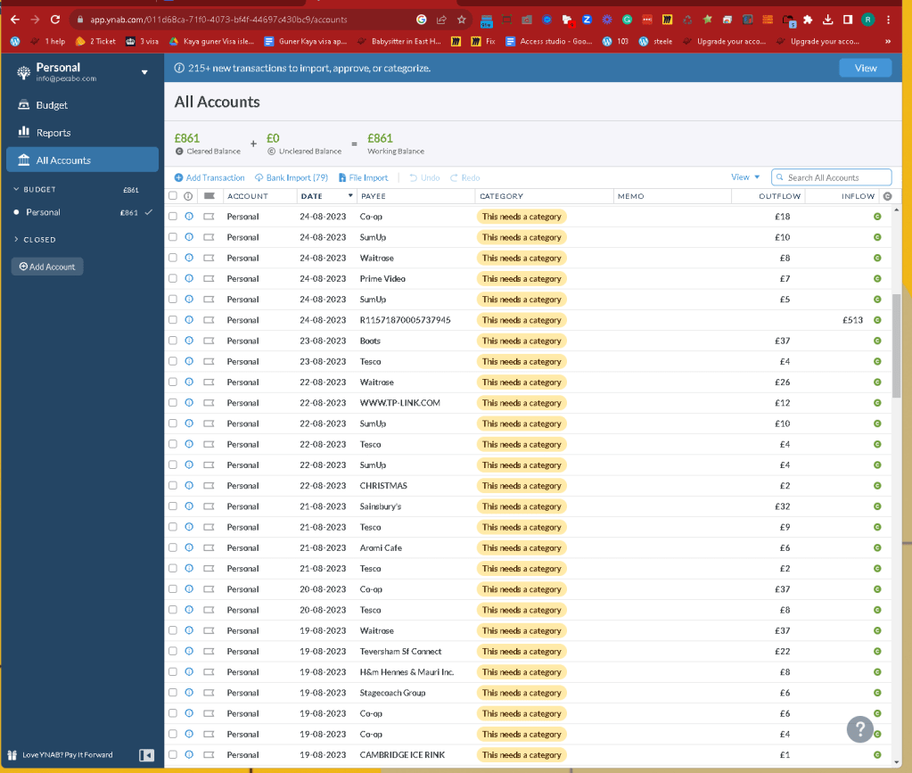 ynab config 16