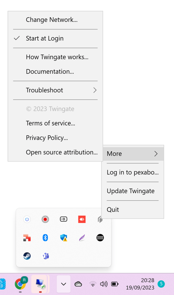 remote access issues 13