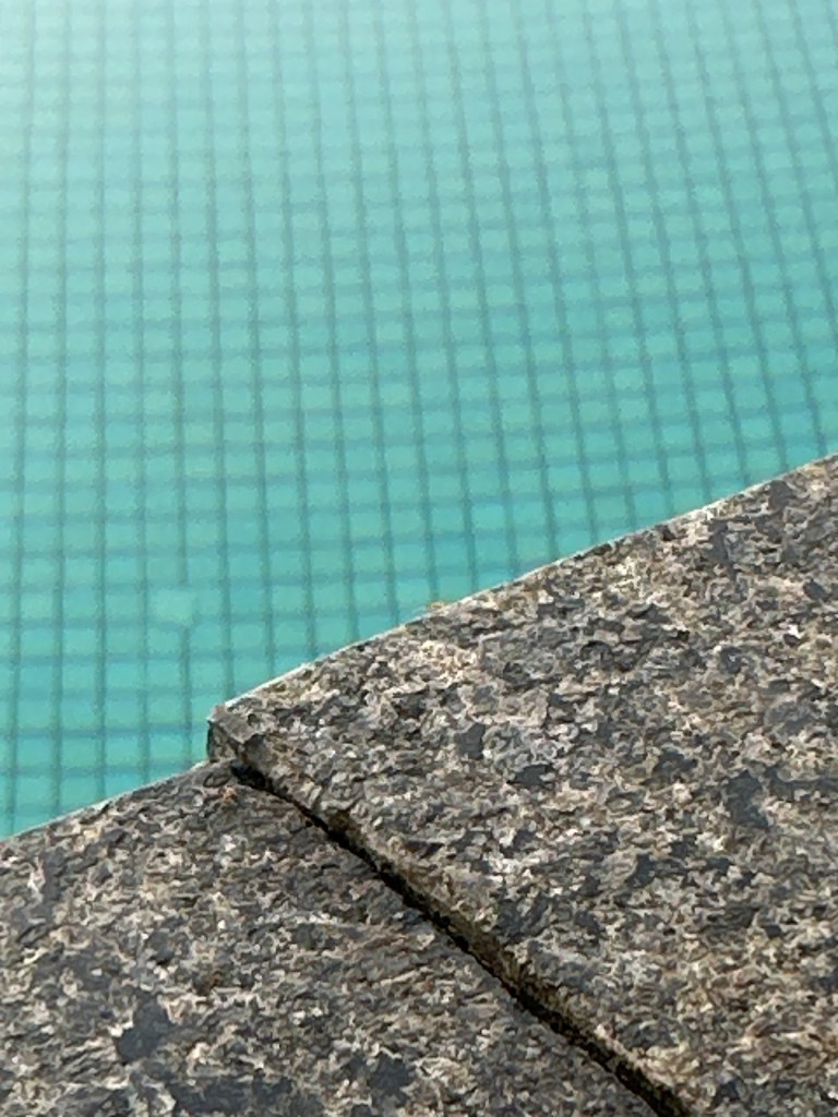 pool and the 2