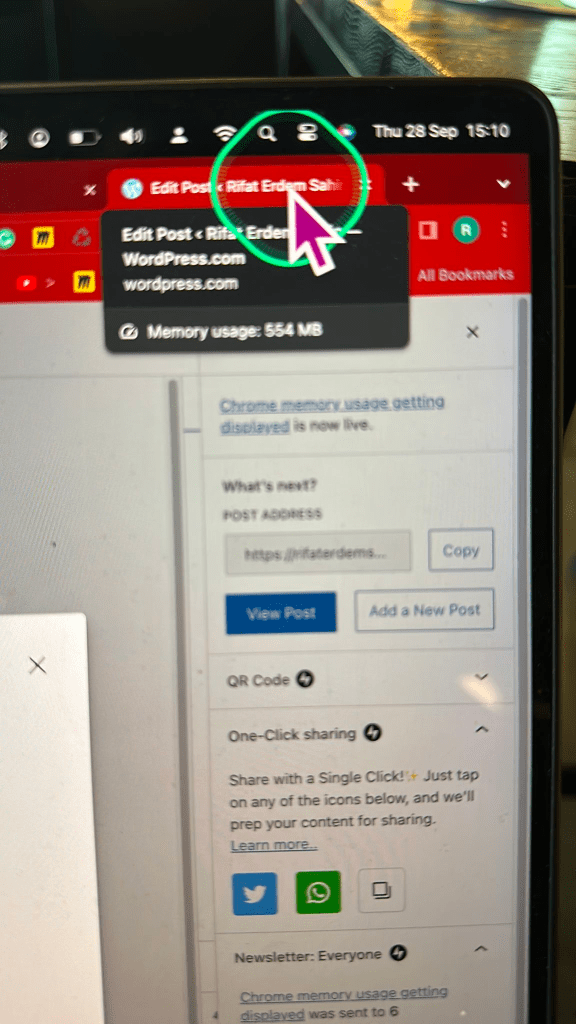 chrome memory usage 2