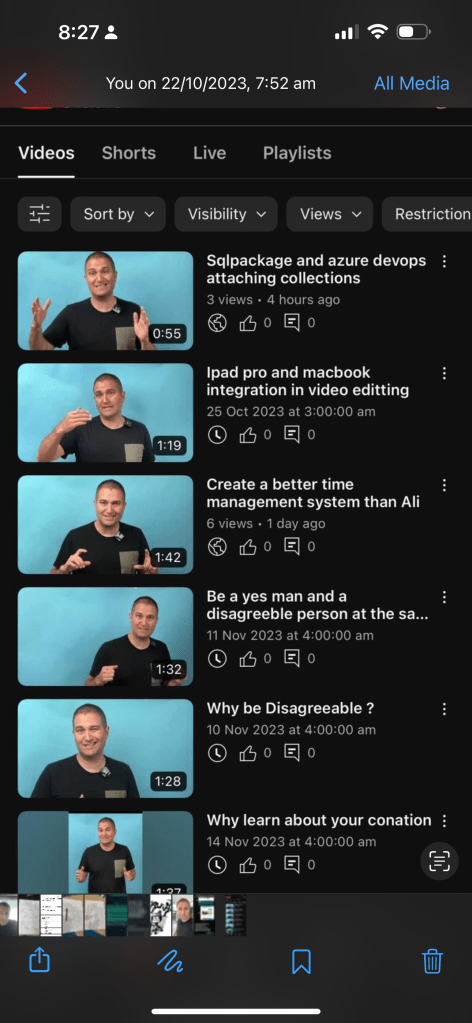 erdems voice back 1