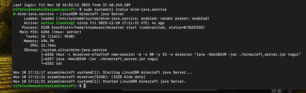minecraft server creation 11