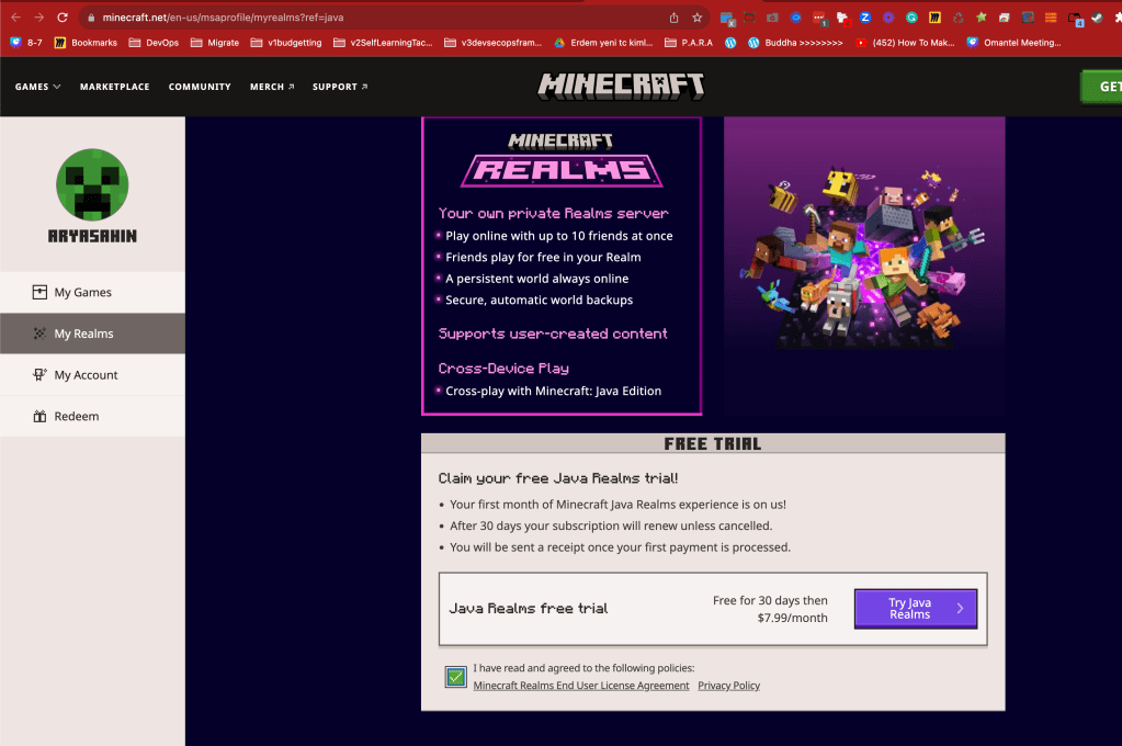 minecraft server creation 18