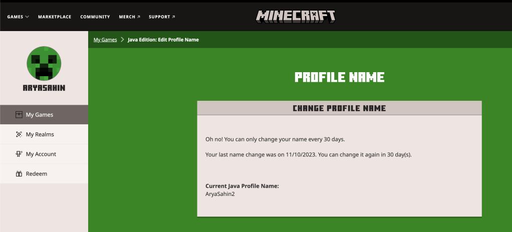 minecraft server creation 19