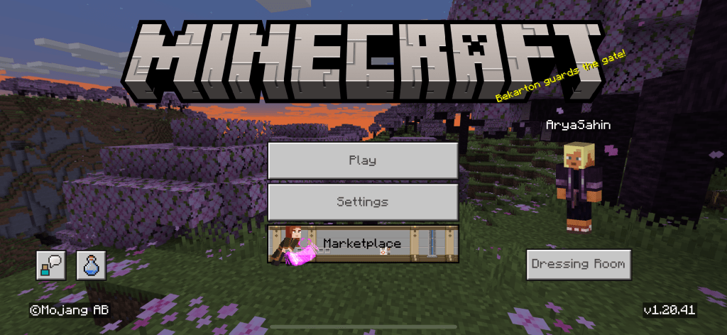 minecraft server creation 27