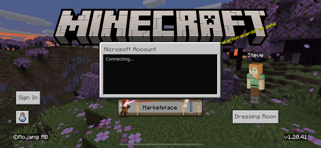 minecraft server creation 28