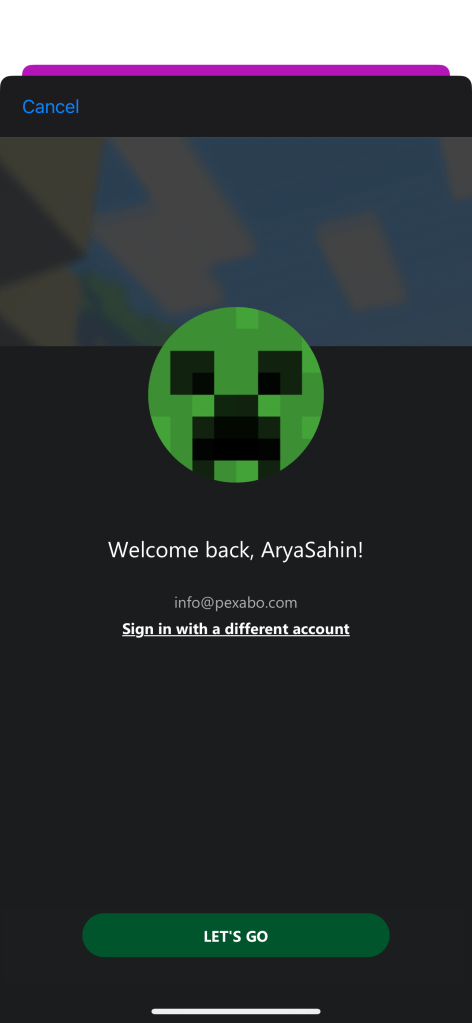 minecraft server creation 29