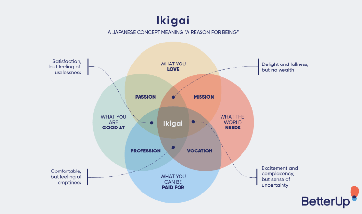 ikigai update 4