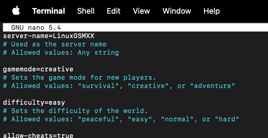 configure minecraft server 19