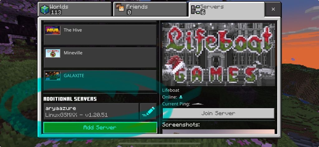 configure minecraft server 29