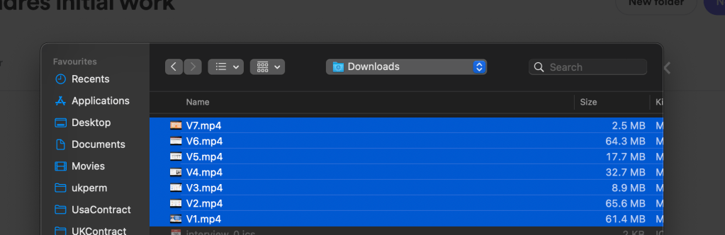 video editor delegation 14