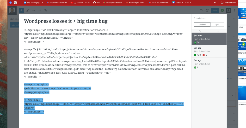 wordpress losses it 1