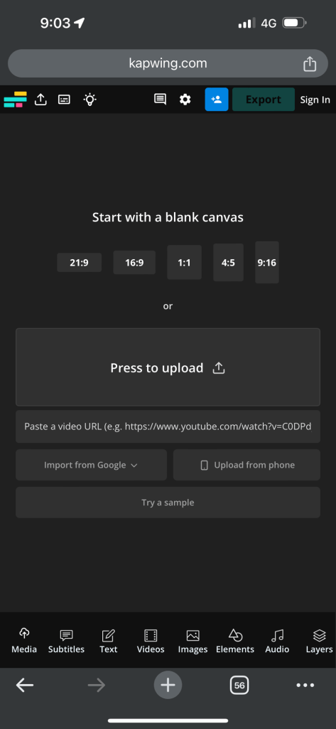 canva subtitles 7