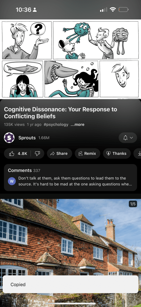 cognitive dissonance 1