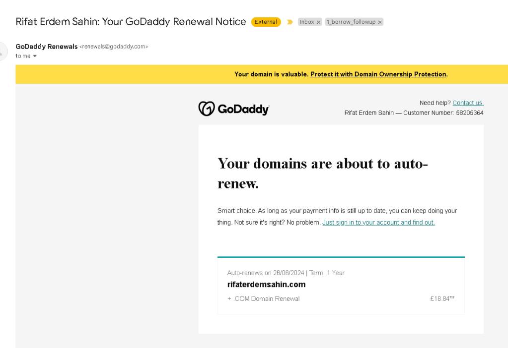 domain management godaddy 1
