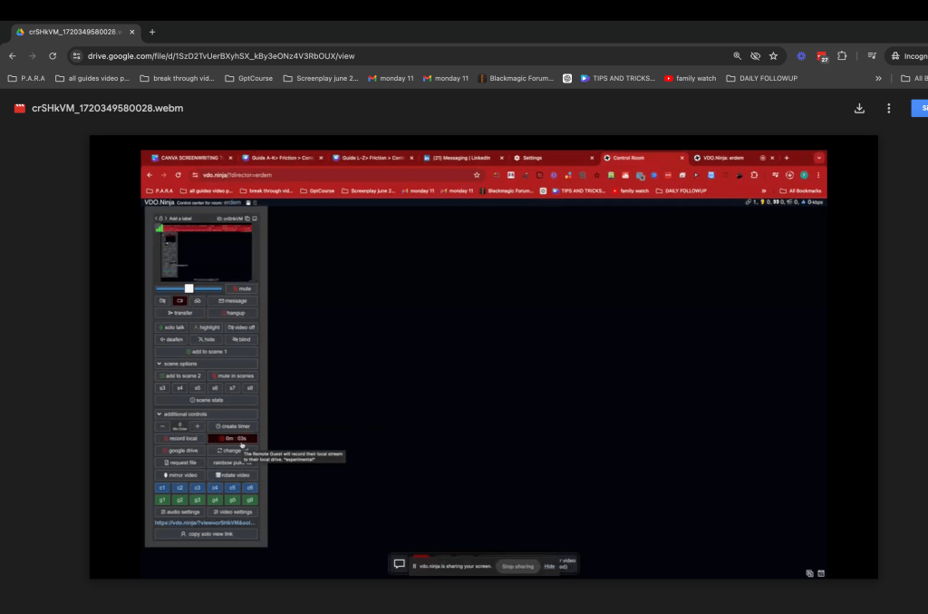 webm files and 2