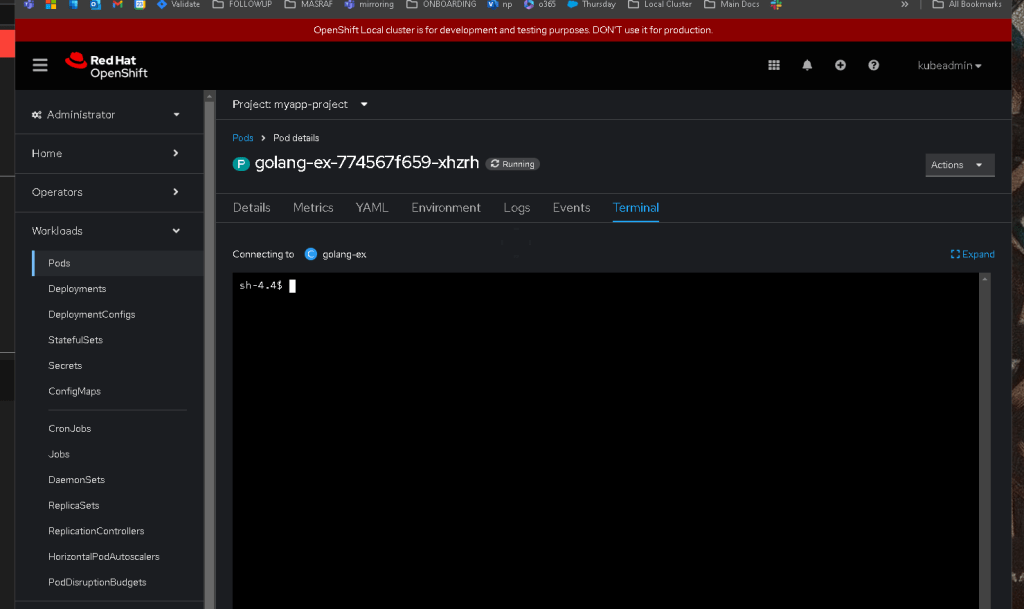 disabling health check 10