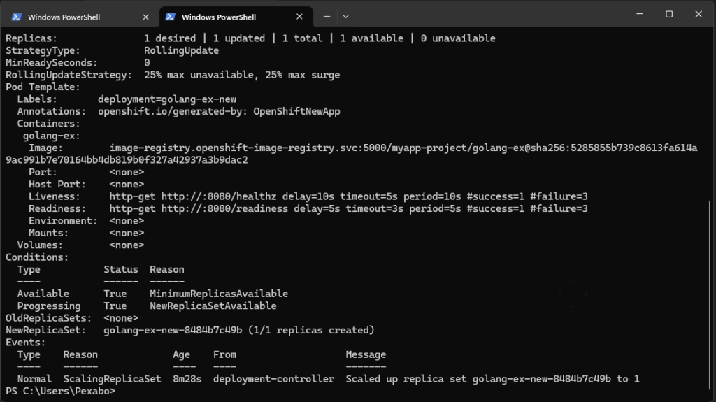 disabling health check 48