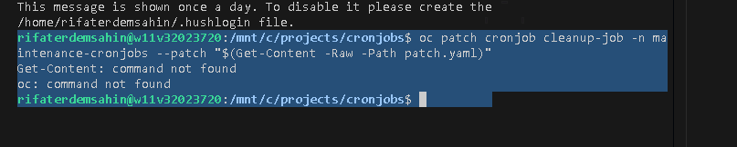 change the shell 4