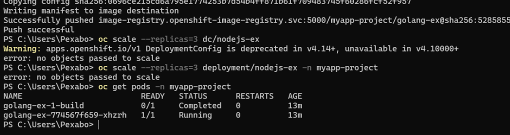 poc basic app 81