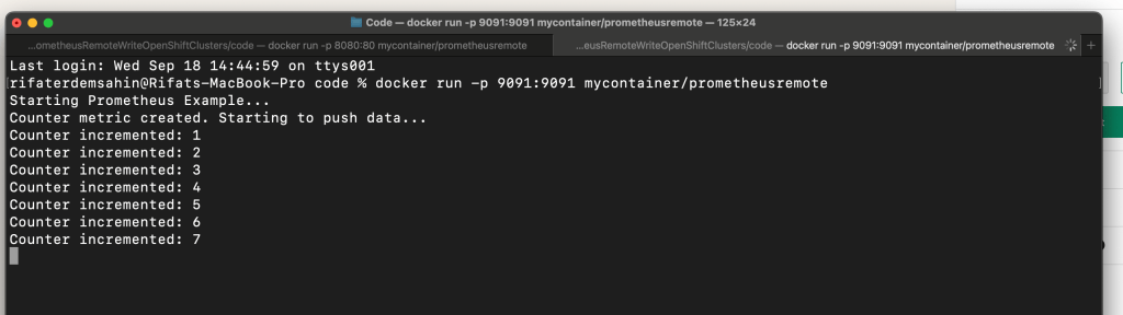 accessing prometheus metrics 2