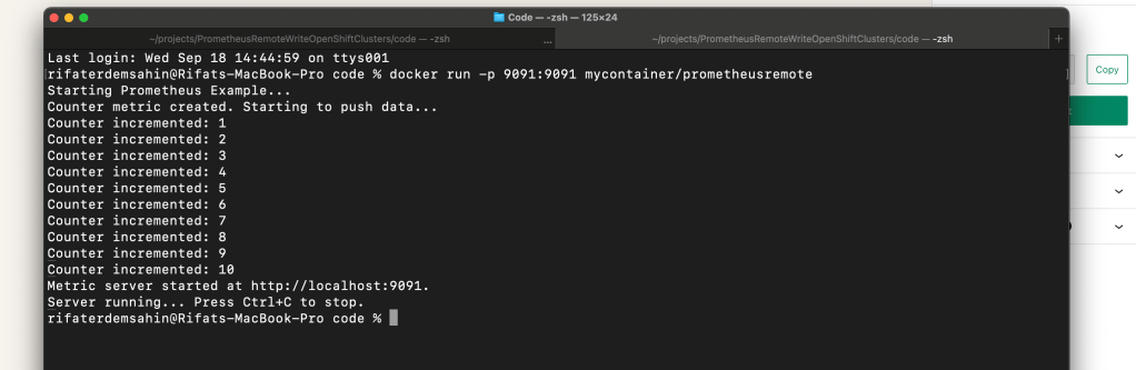 accessing prometheus metrics 4