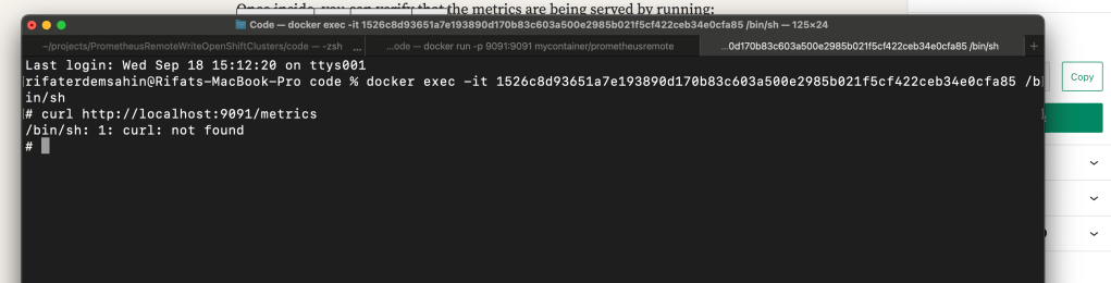 accessing prometheus metrics 7