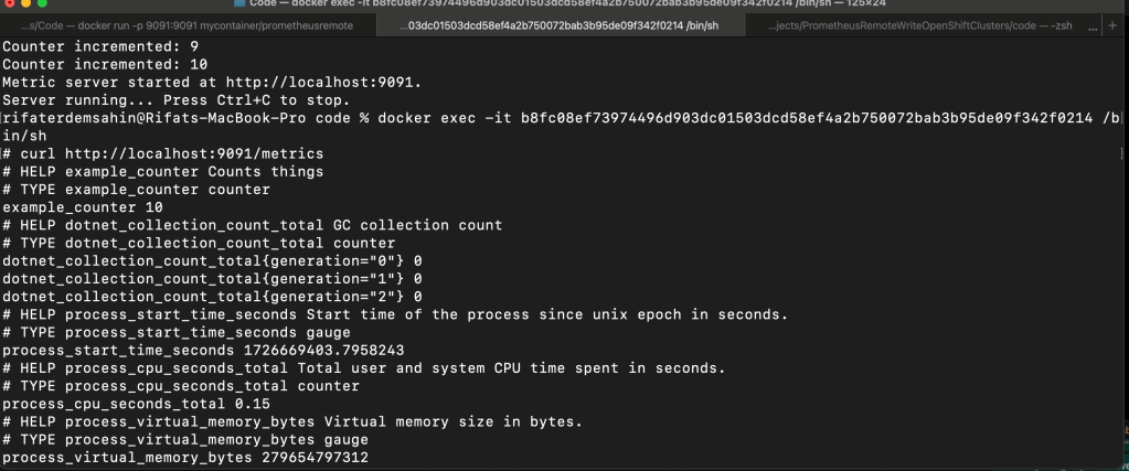 accessing prometheus metrics 8