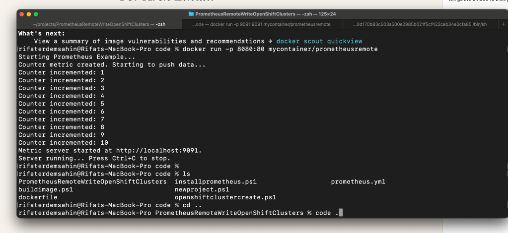 accessing prometheus metrics 11