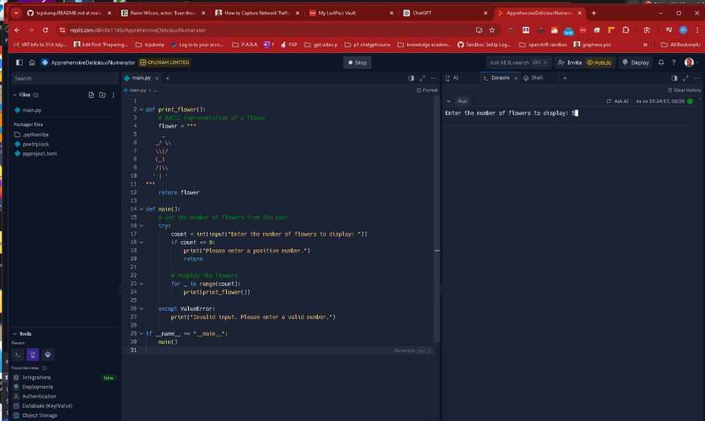 running python locally 3