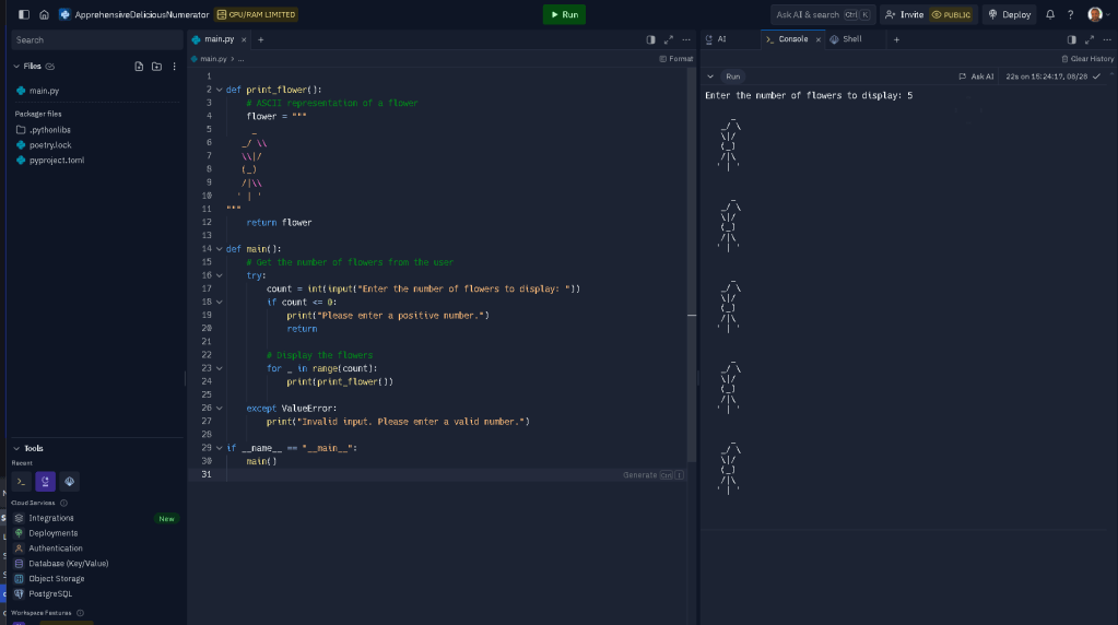 running python locally 4