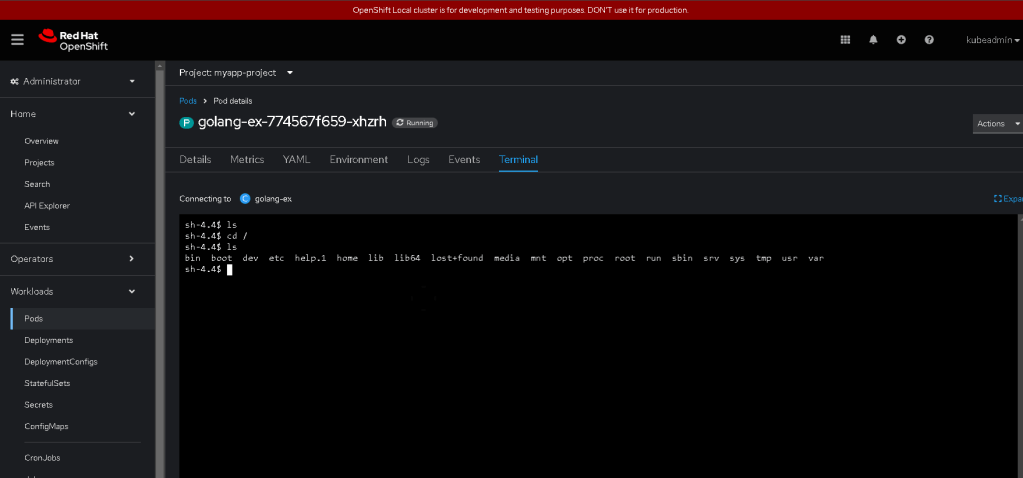 argocd development logs 1