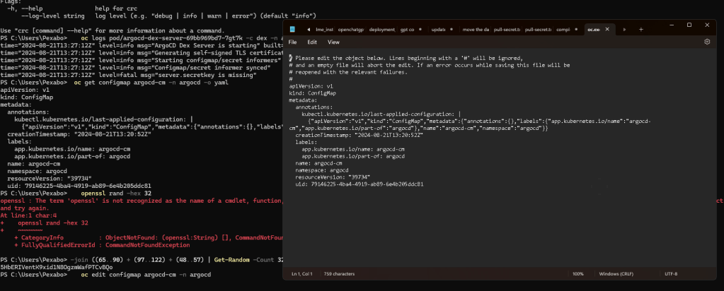argocd development logs 19