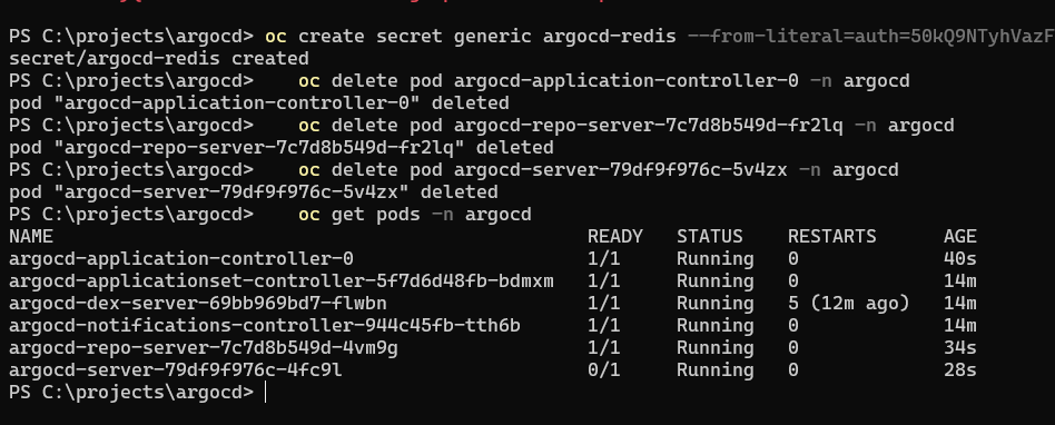 argocd development logs 72