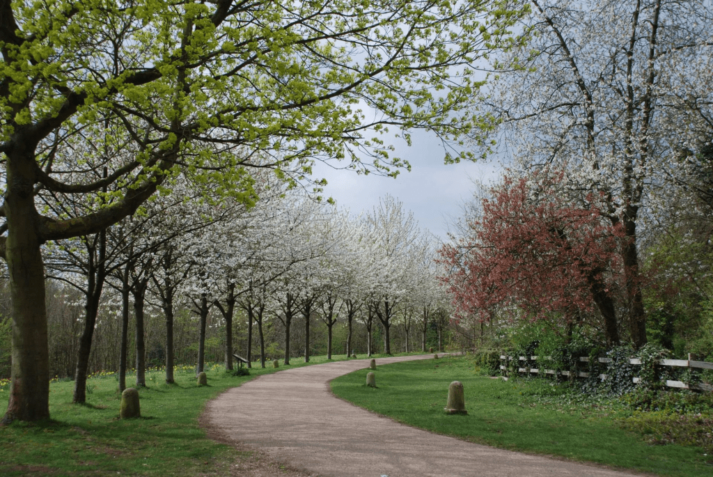 wandlebury country park 1