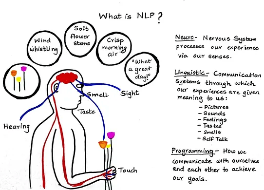 as a programmer 1