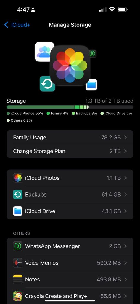 apple costs storage 6